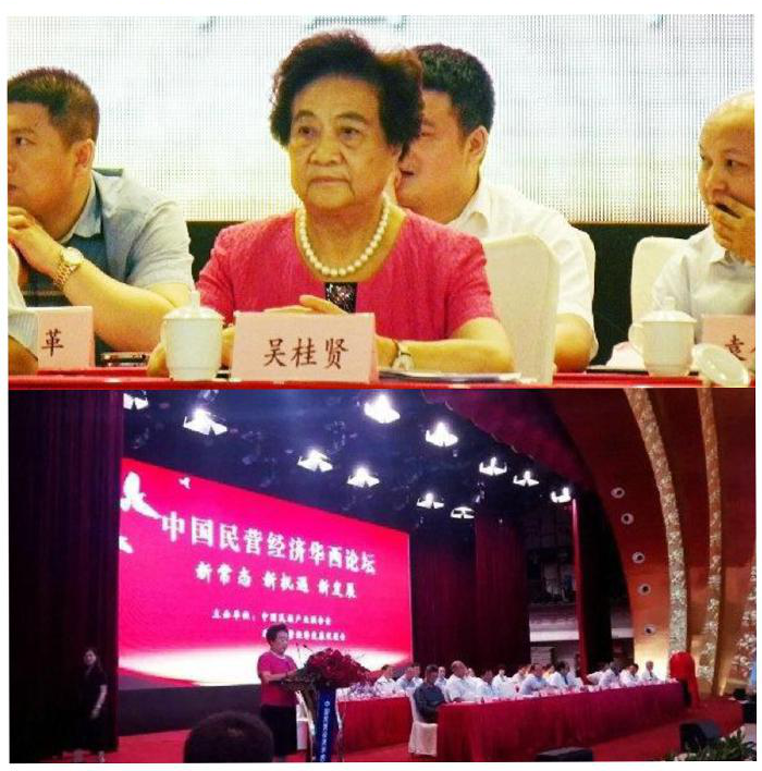 國務院原副總理吳桂賢出席中國民營經(jīng)濟華西論壇并致辭